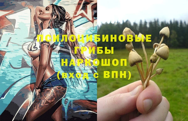ALPHA PVP Алексеевка