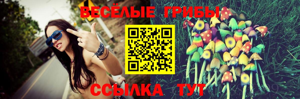 купить  цена  Псилоцибиновые грибы прущие грибы  Рубцовск  Вход с VPN  Галлюциногенные грибы MAGIC MUSHROOMS 